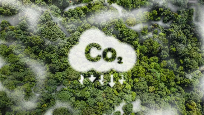 Reducing-Industrial-Carbon-Emissions-Borit.jpg